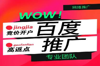 成功案例：SEM外包公司助力企业实现低成本广告